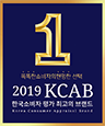 2018 korea consumer evaluation best brand awards.